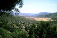 view from the patio