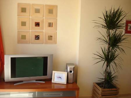 Elviria apartment: interior